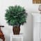 3ft. Double Bamboo Palm with Decorative Planter